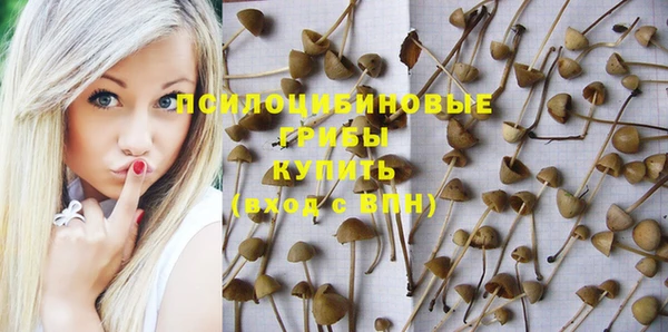 соль ск Навашино